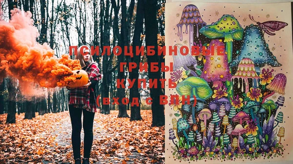 ГАЛЛЮЦИНОГЕННЫЕ ГРИБЫ Алексин