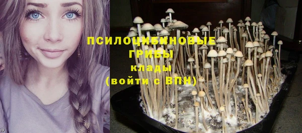 бутират Алексеевка