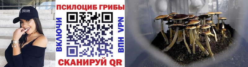 Псилоцибиновые грибы прущие грибы  Кулебаки 